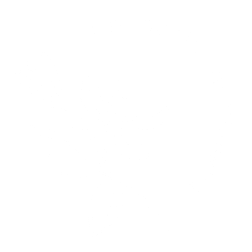 light logo